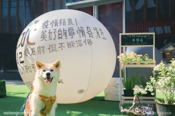 杭州大悅城花甜喜事市集